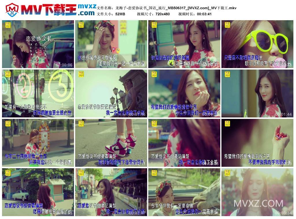 龙梅子-恋爱协议书_国语_流行_MB506317